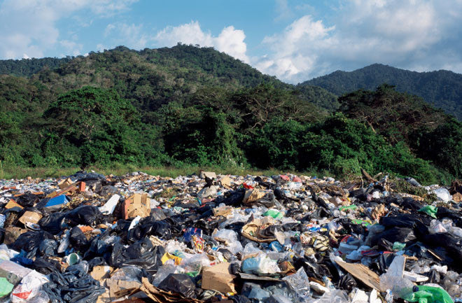 picture of trees and a landfill