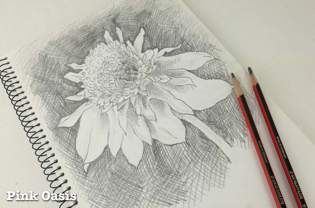 Native Flower Sketch Waratah | PINKOASIS