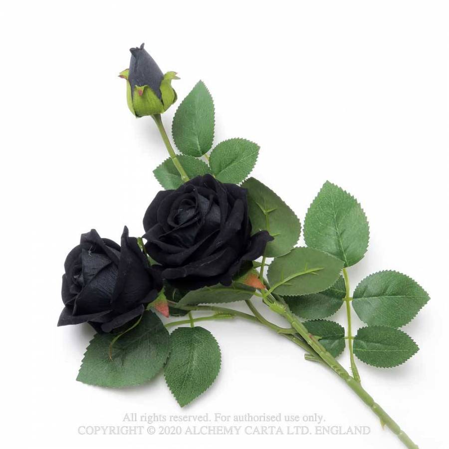 Black Rose Spray Midnight Rose Emporium Ltd