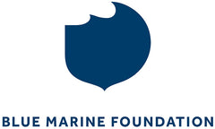 Blue Marine Foundation