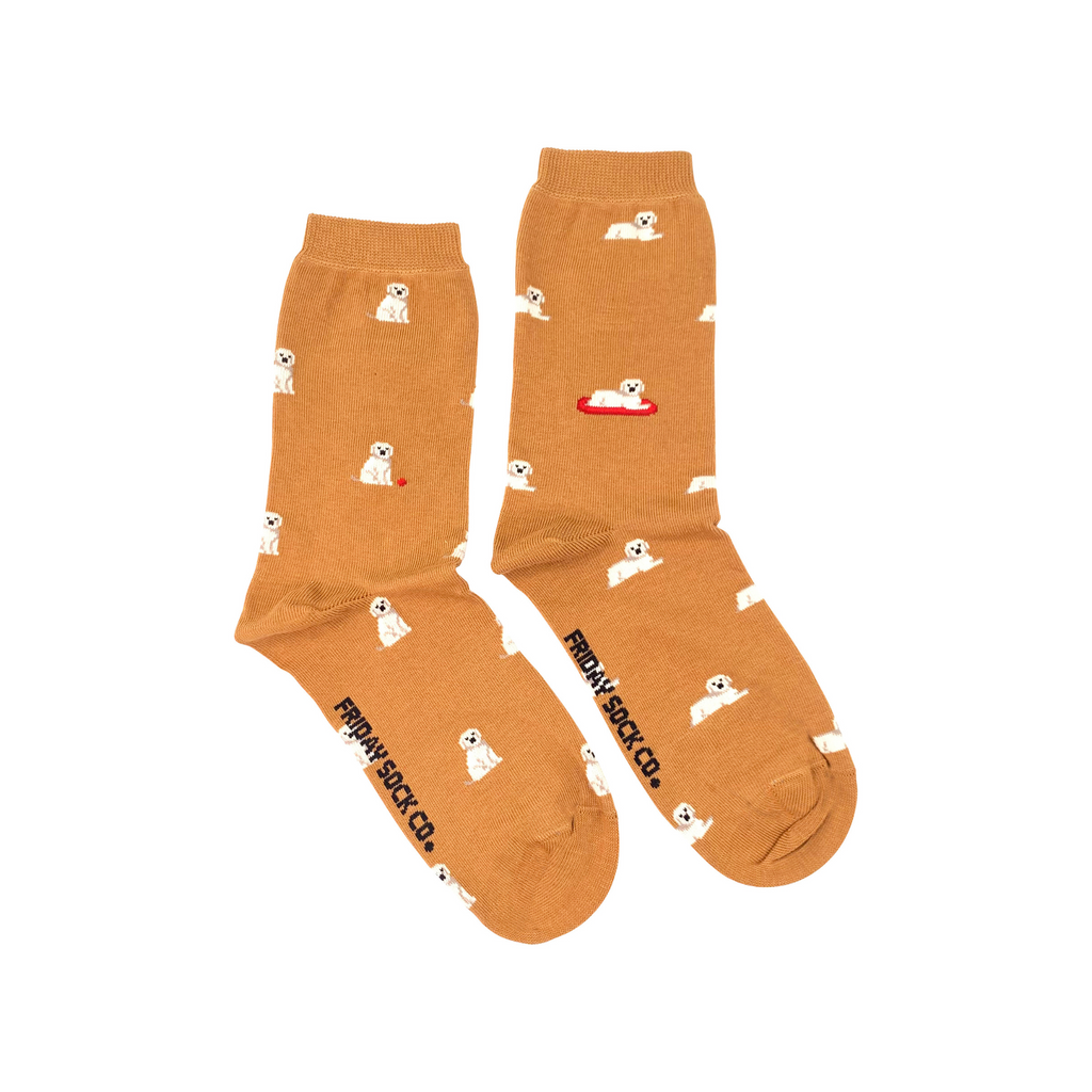 Shop Mismatched Socks | Friday Sock Co. | Designed in Canada