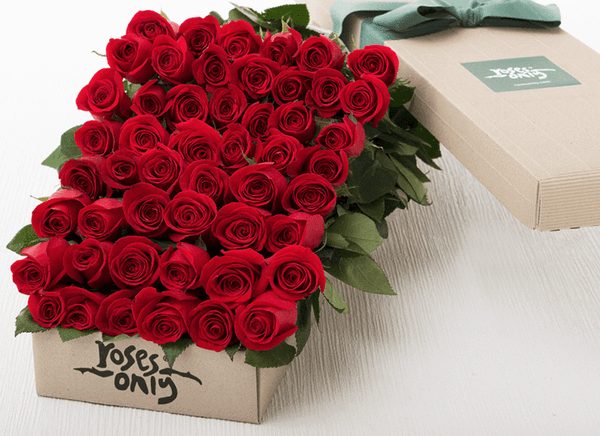 gorgeous 50 long stemmed red roses