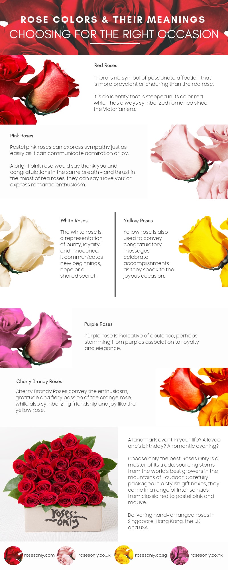 Rose Colours & Their Meanings - Roses Only Uk