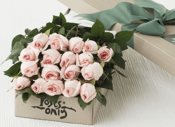 lovely pastel pink roses gift box