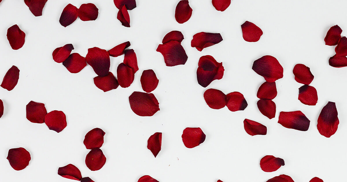 red roses petals falling 