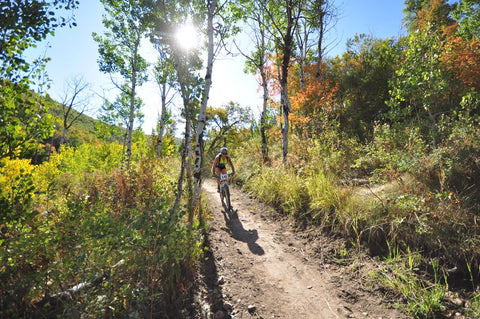 Mountain Biking, Snowbasin Resort