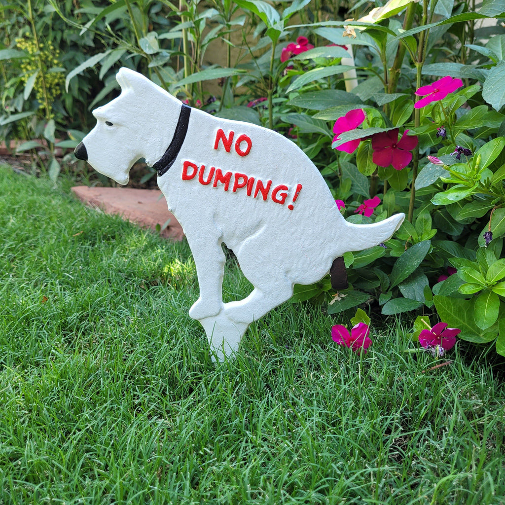 what happens to dog poop on grass