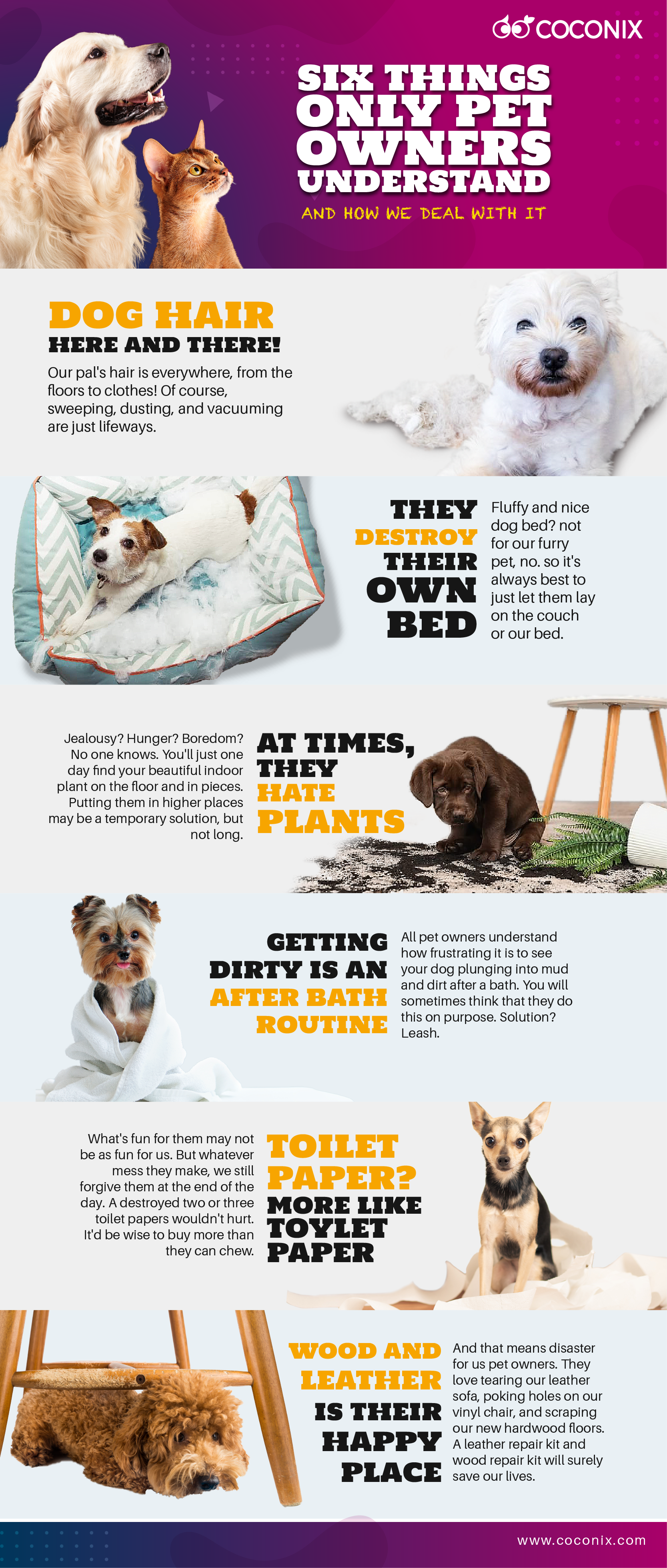 Pets Vs Home Furniture: Pet Owners' Ultimate Repair Guide for