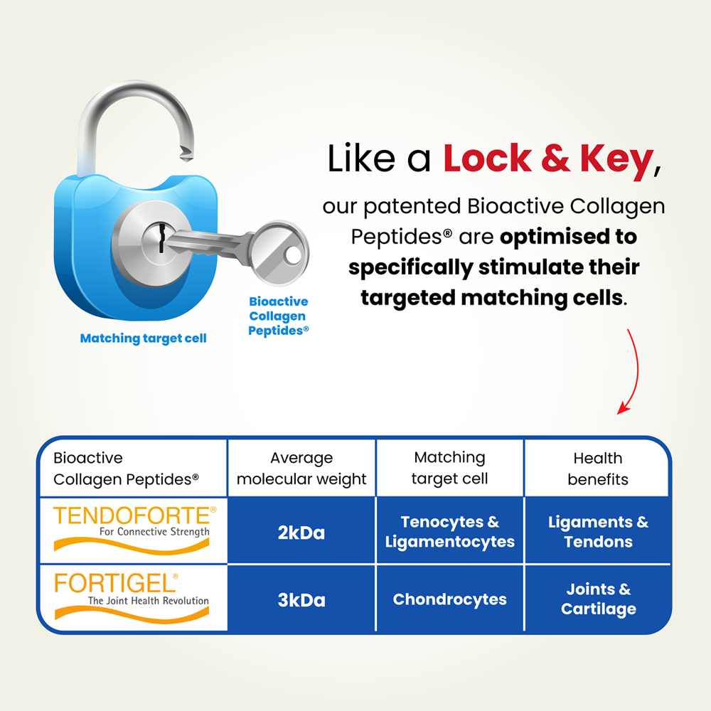 9 lock & key fit.png__PID:2680d9a0-2196-4f47-ba22-1936fbafba3e