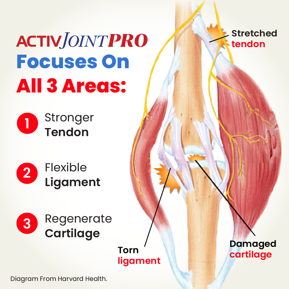 muscle diagram jointpro-01.png__PID:4e3e6b5a-217e-4a6a-bc60-74dabe7e49fb