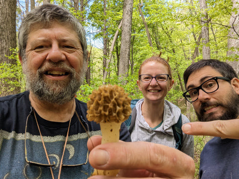 First blonde morel find in south-central Pennsylvania.
