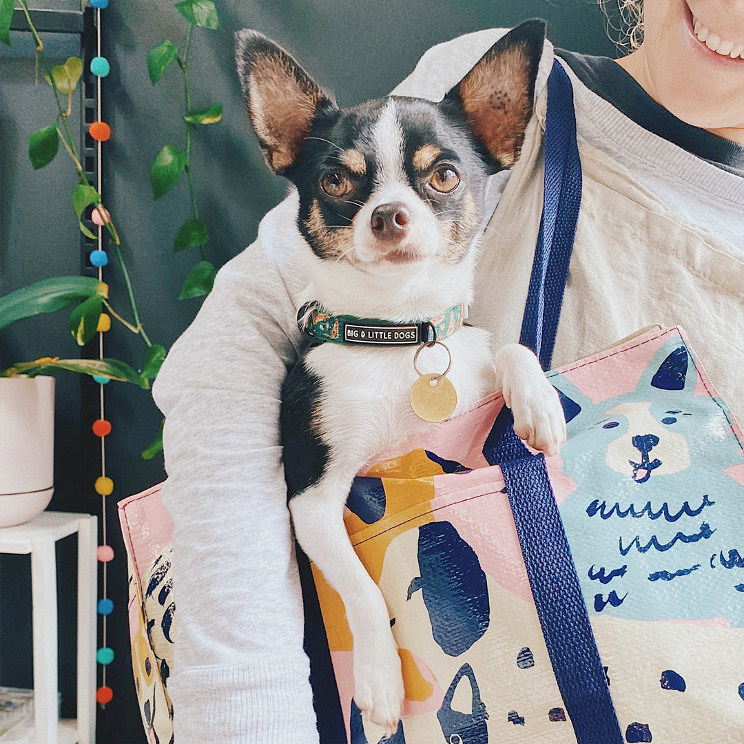 Chihuahua in Blue Q Happy Dogs Shoulder Tote