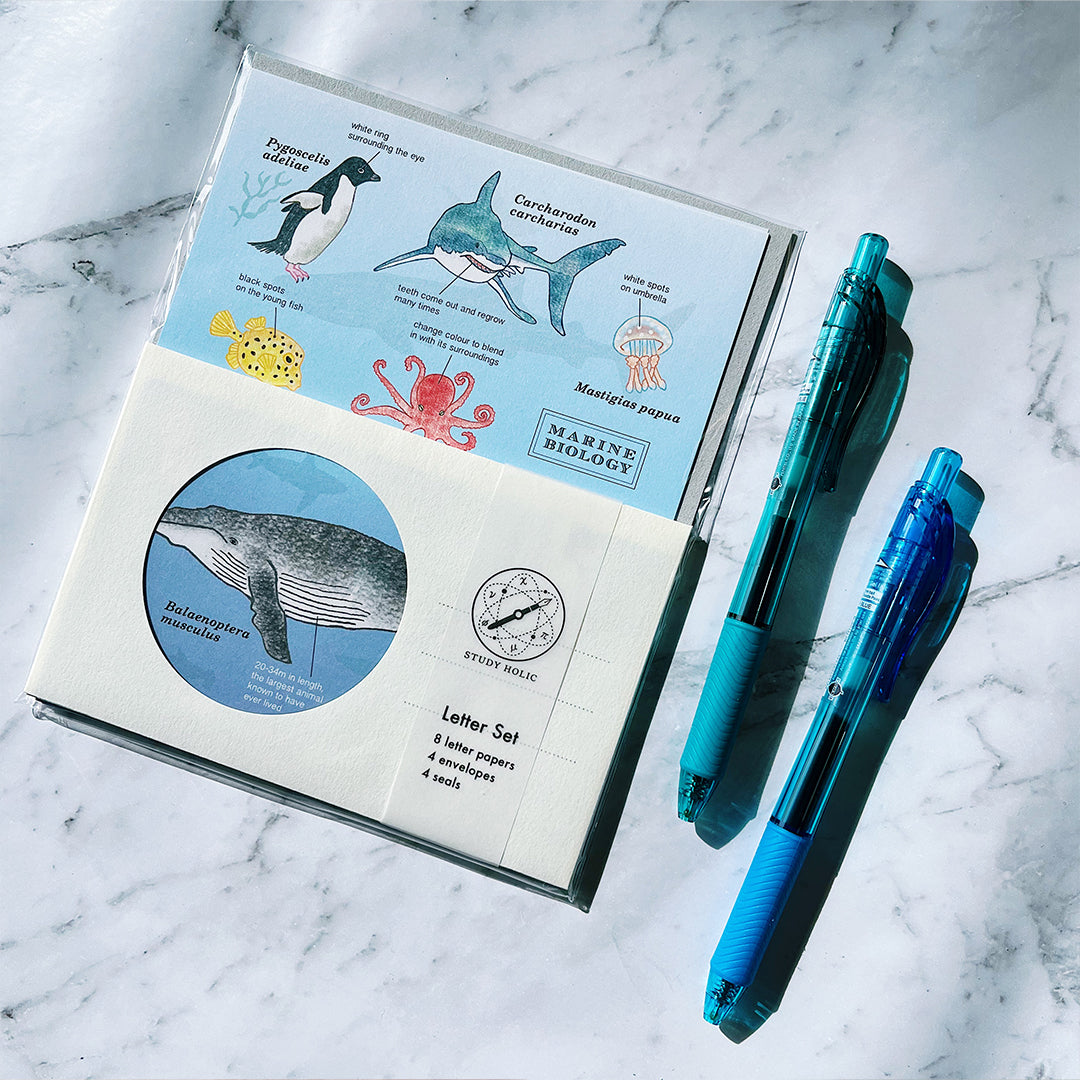 Ocean themed writing set and recycled blue green gel pens