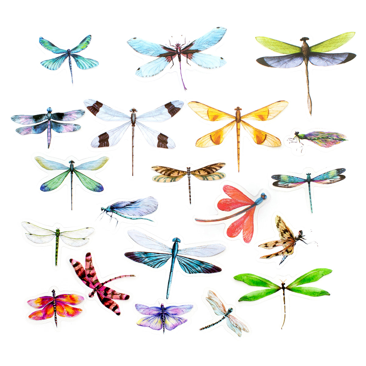 Transparent Dragonfly Deco Stickers - Mixed | WashiGang Australia