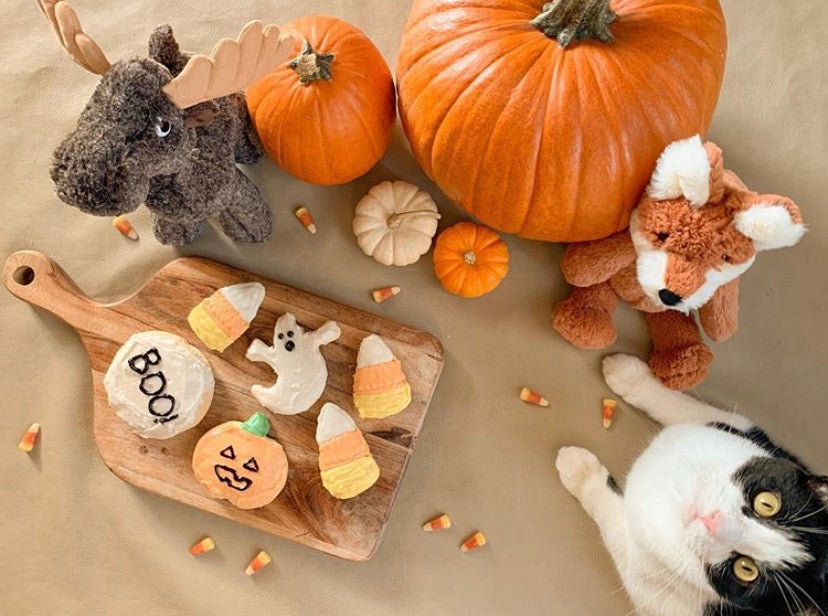 Fall theme display with halloween cookies, pumpkins, stuffed animals and a cat.