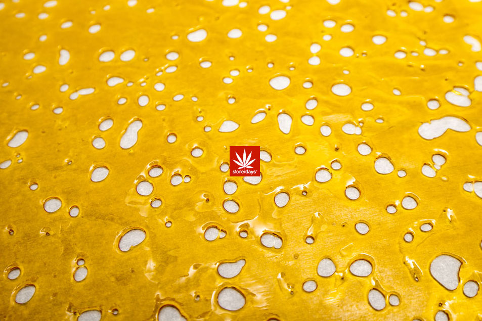 shatter prices dab life