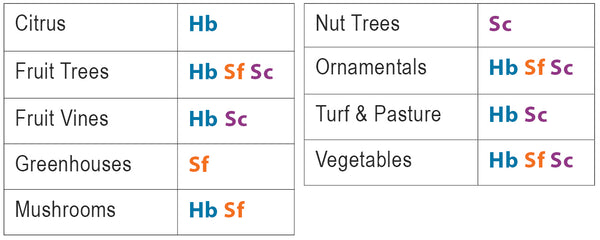 Beneficial Nematode Crops