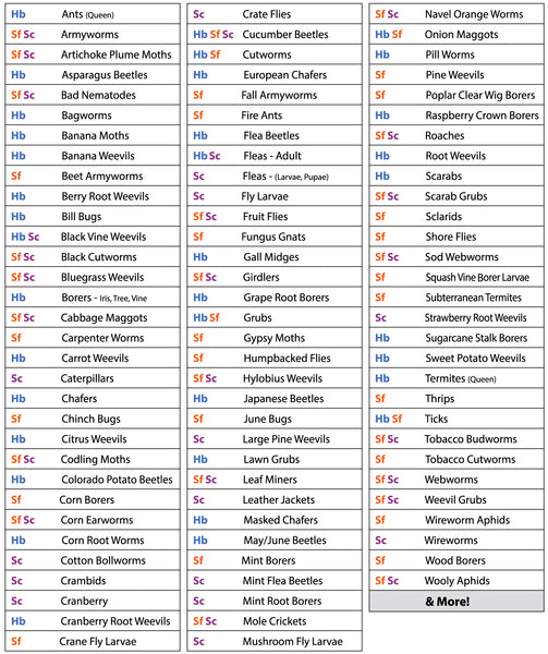 Beneficial Nematode Pest Chart