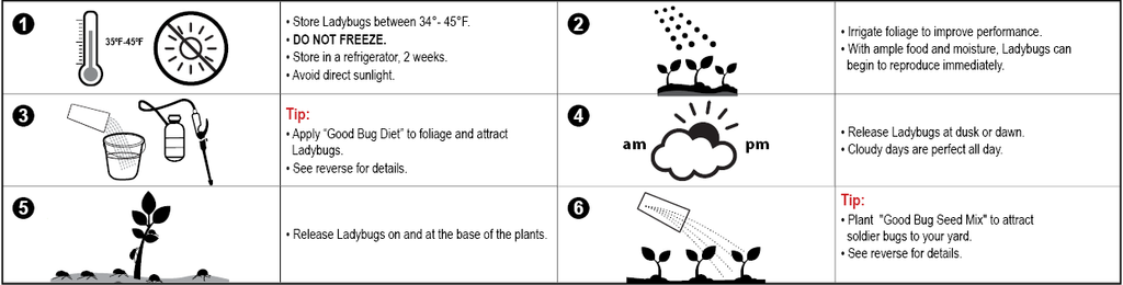 ladybug release instructions