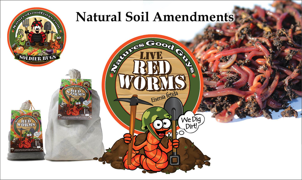  Nature's Dream Ranch 150 Ct Red Wigglers - Composting Red  Worms - Vermicomposting Garden Red Wrigglers : Patio, Lawn & Garden