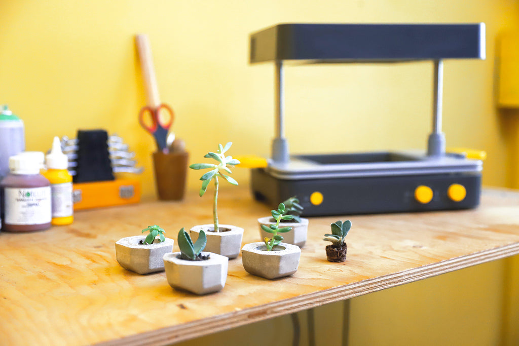 the FormBox and cactus pots