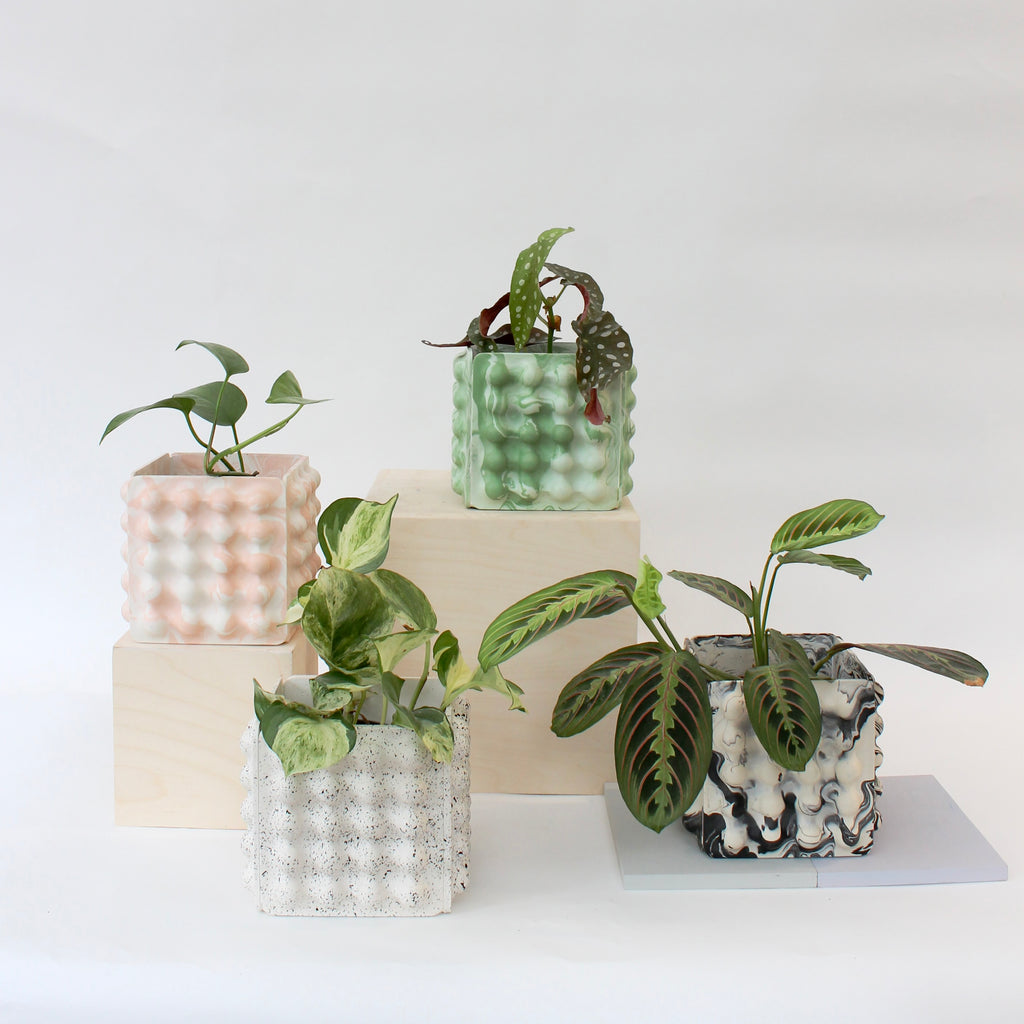 a section of Jesmonite planters with a bubble texture by Nona Living made with custom molds