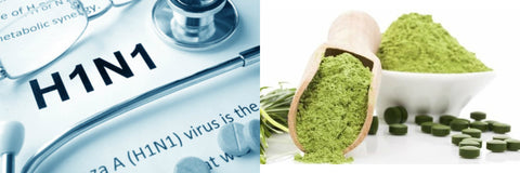 Spirulina against H1N1