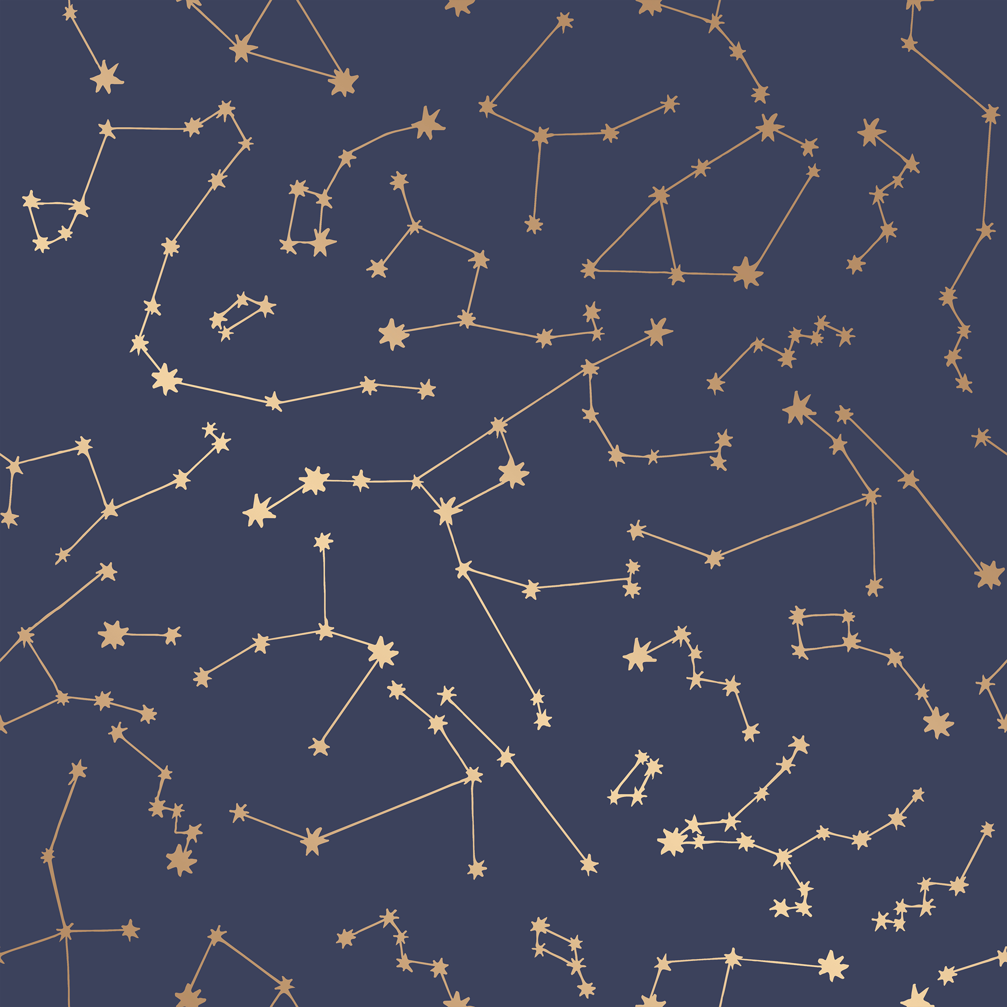 Constellations Wallpaper - Navy – The Novogratz