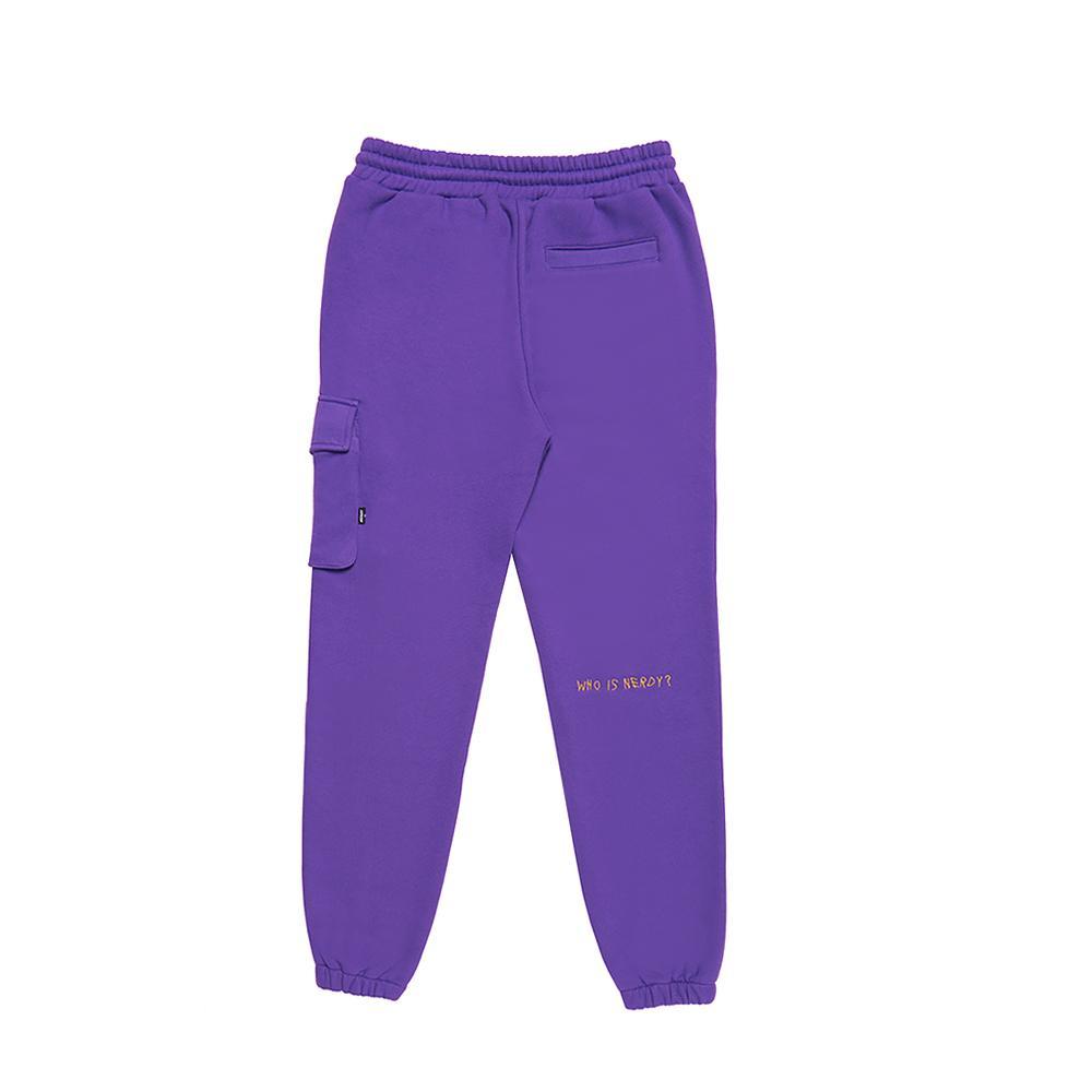 the north face sally womens ski pants