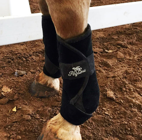 pegasus horse boots