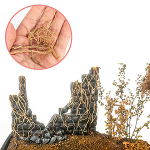 Miniature Vine Tree Roots - HobbyistHaven