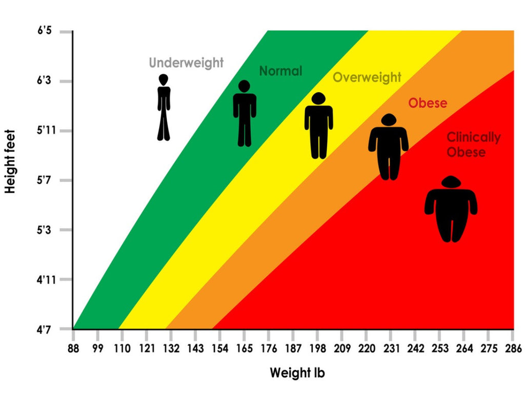 Are You Obese Chart