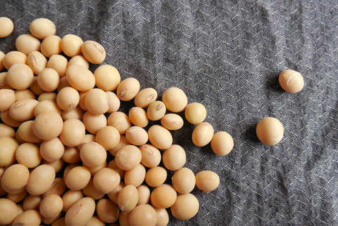 soy beans health benefits 