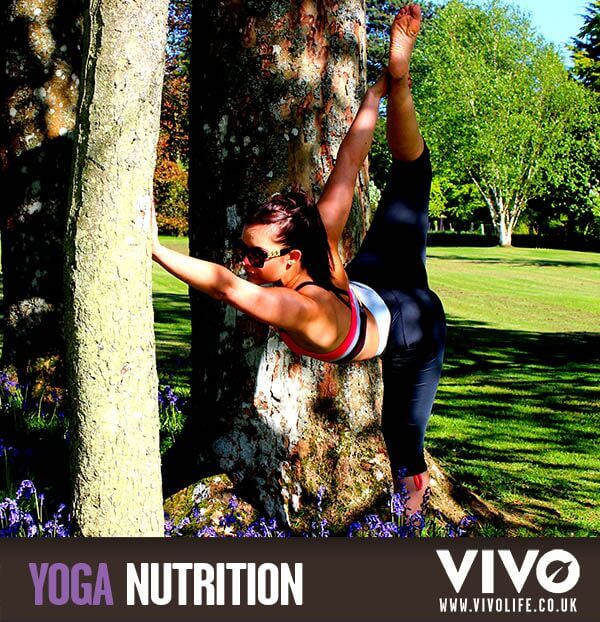Yoga Nutrition Vivo Life