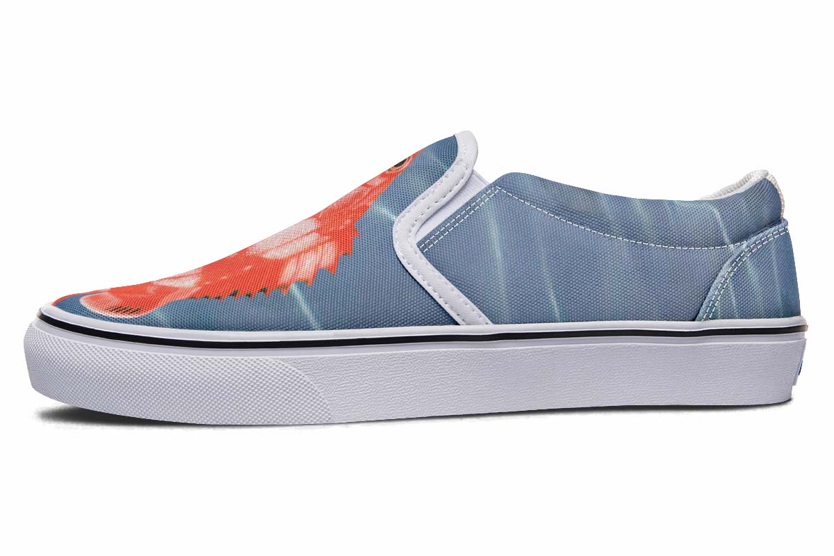 rockfish canvas shoes