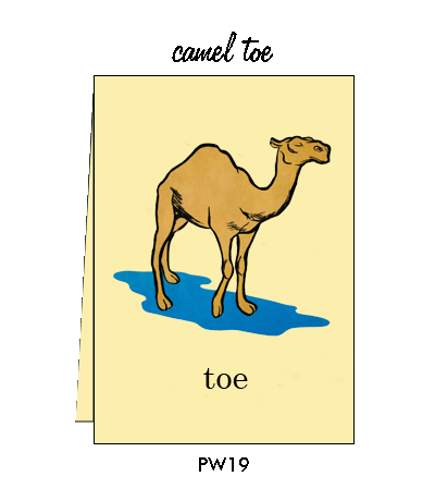 asl camel