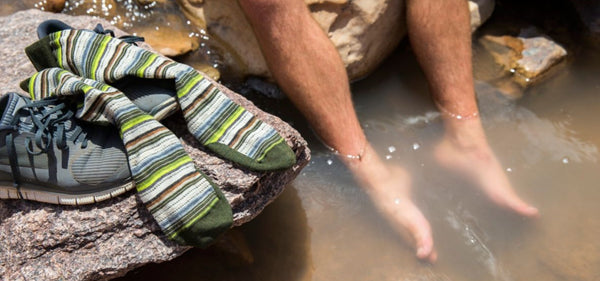 SmartWool Hiking Margarita Socks