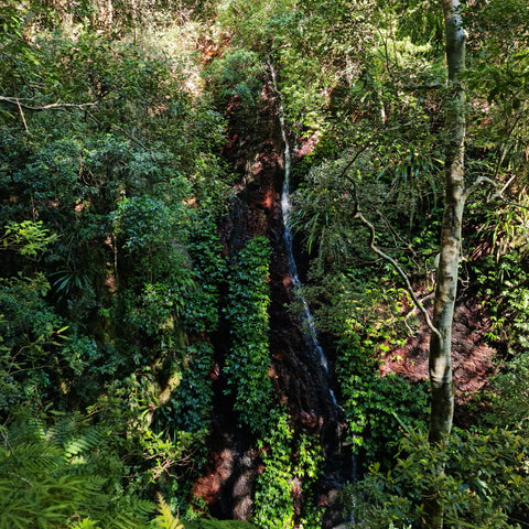 run off waterfall on coomera circuit trail