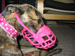 pink dog muzzle