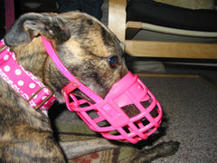 pink basket muzzle