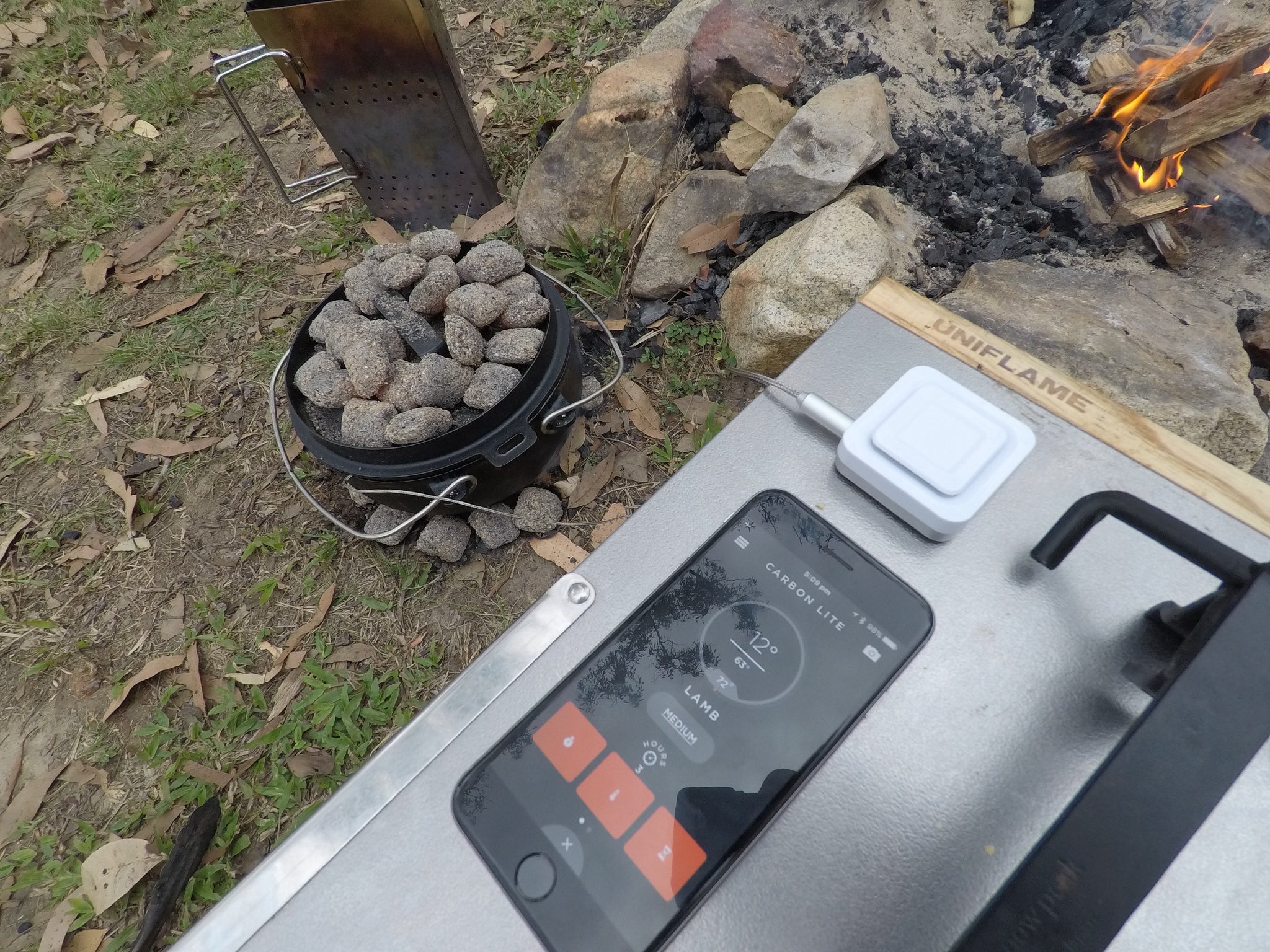 LAMB ROAST WITH THERMOMETER 