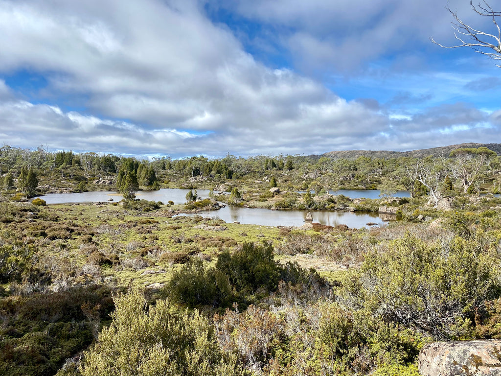 Solomons Jewels Walls of Jerusalem hike Tasmania