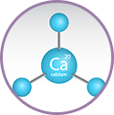 Calcium Alginate