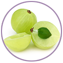 Amla Extract for hair