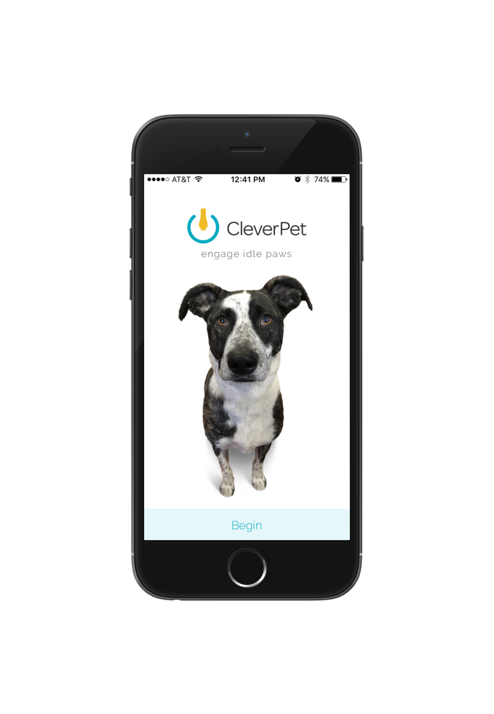 CleverPet  Exercise your pet's mind + body