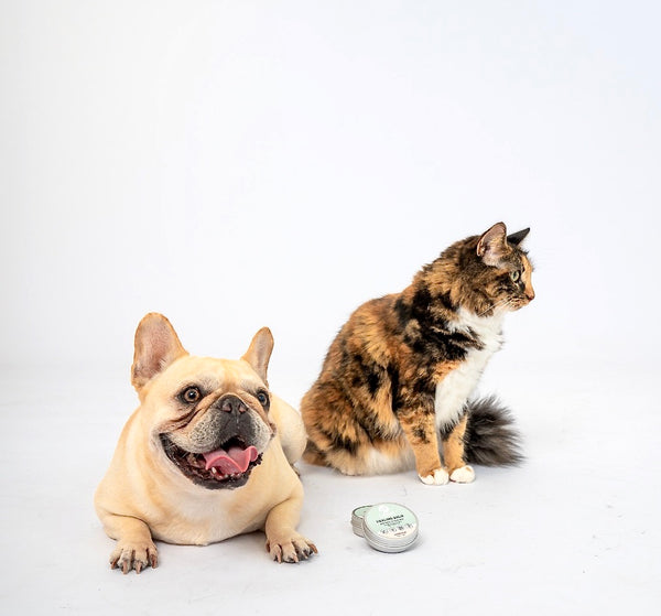 Why We're Choosing Natural Ingredients For Our Pet Products - LOMI Care Pet Products - Little Birdies