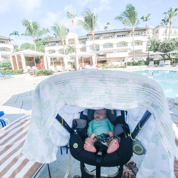 A Mom's Guide to Stress-Free Traveling with a Baby - Little Birdies