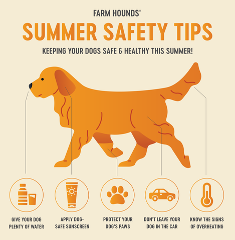 Farm Hounds - Summer Safety Tips for Dogs