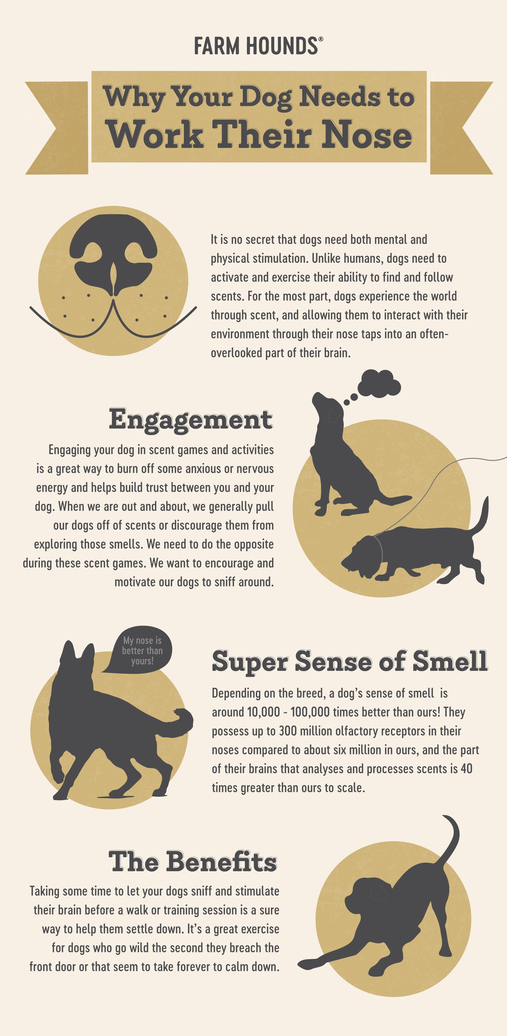 why-your-dog-needs-to-sniff