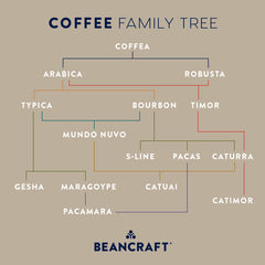Coffee Family Tree